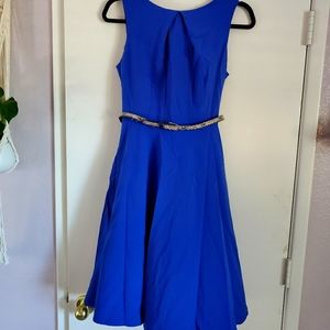 Royal Blue Dress with Alligator Print Belt